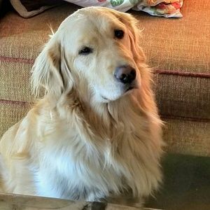 Meet your Posher, Rita